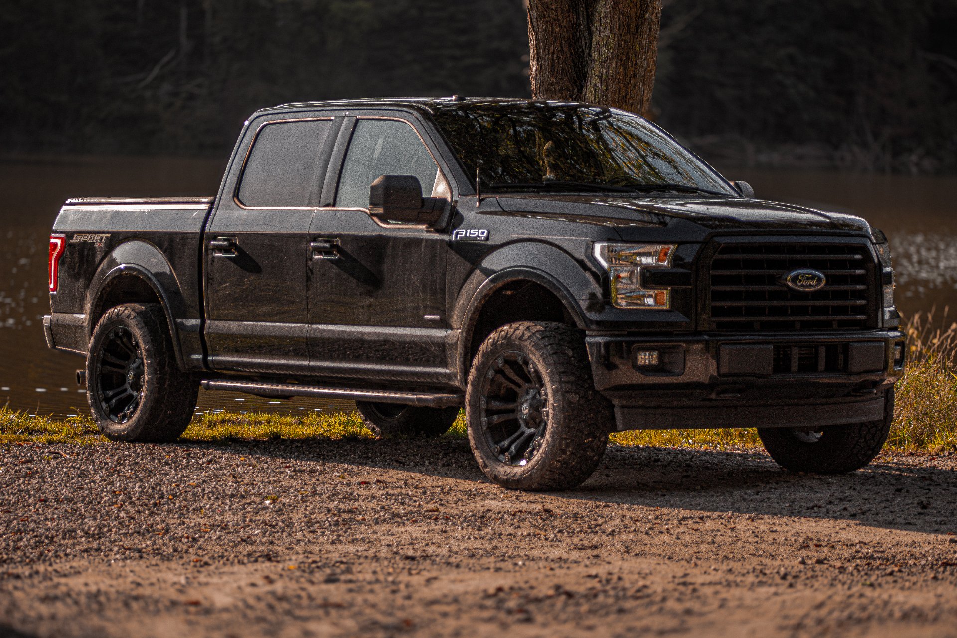 Truck/Car Portrait