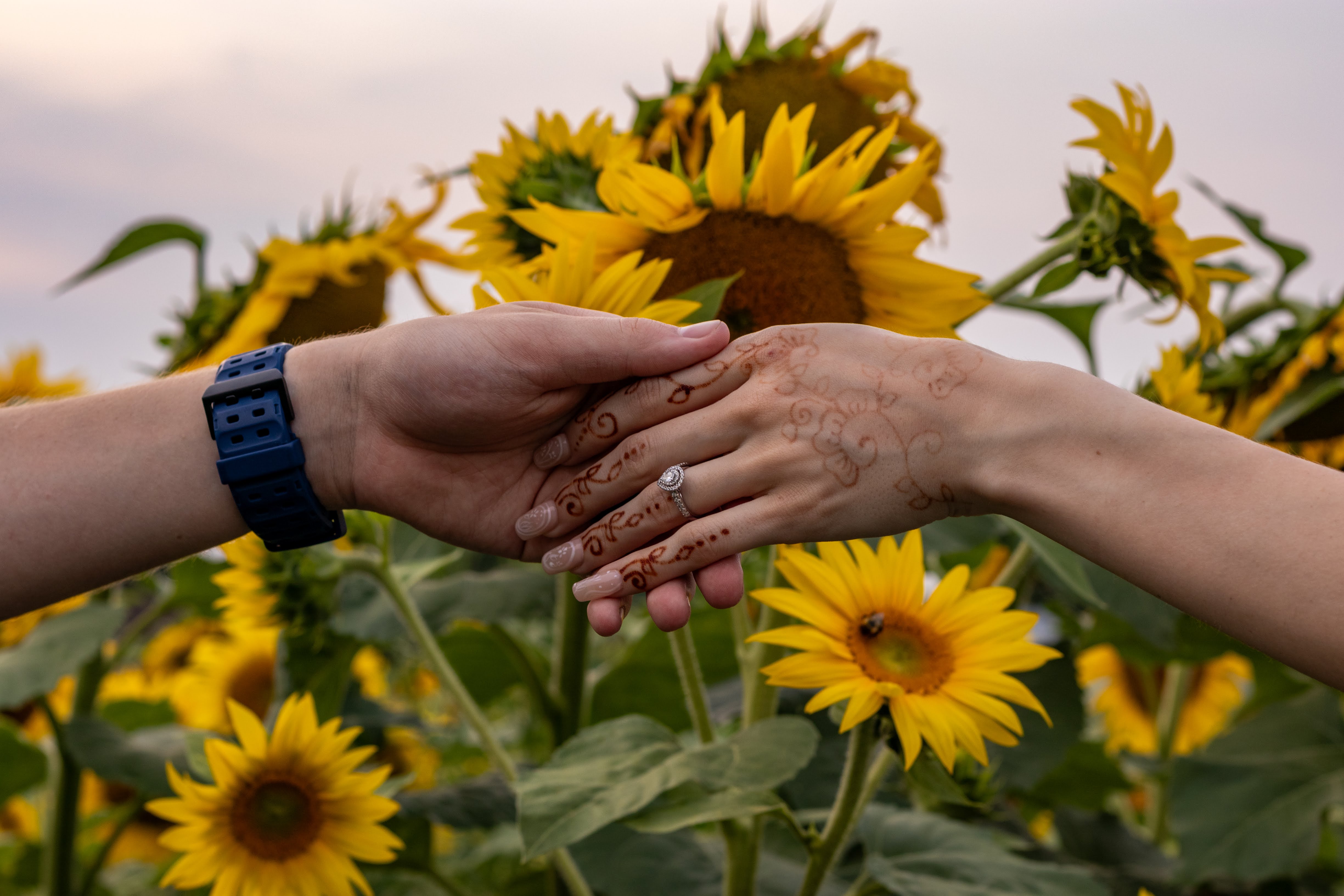 Surprise Proposal