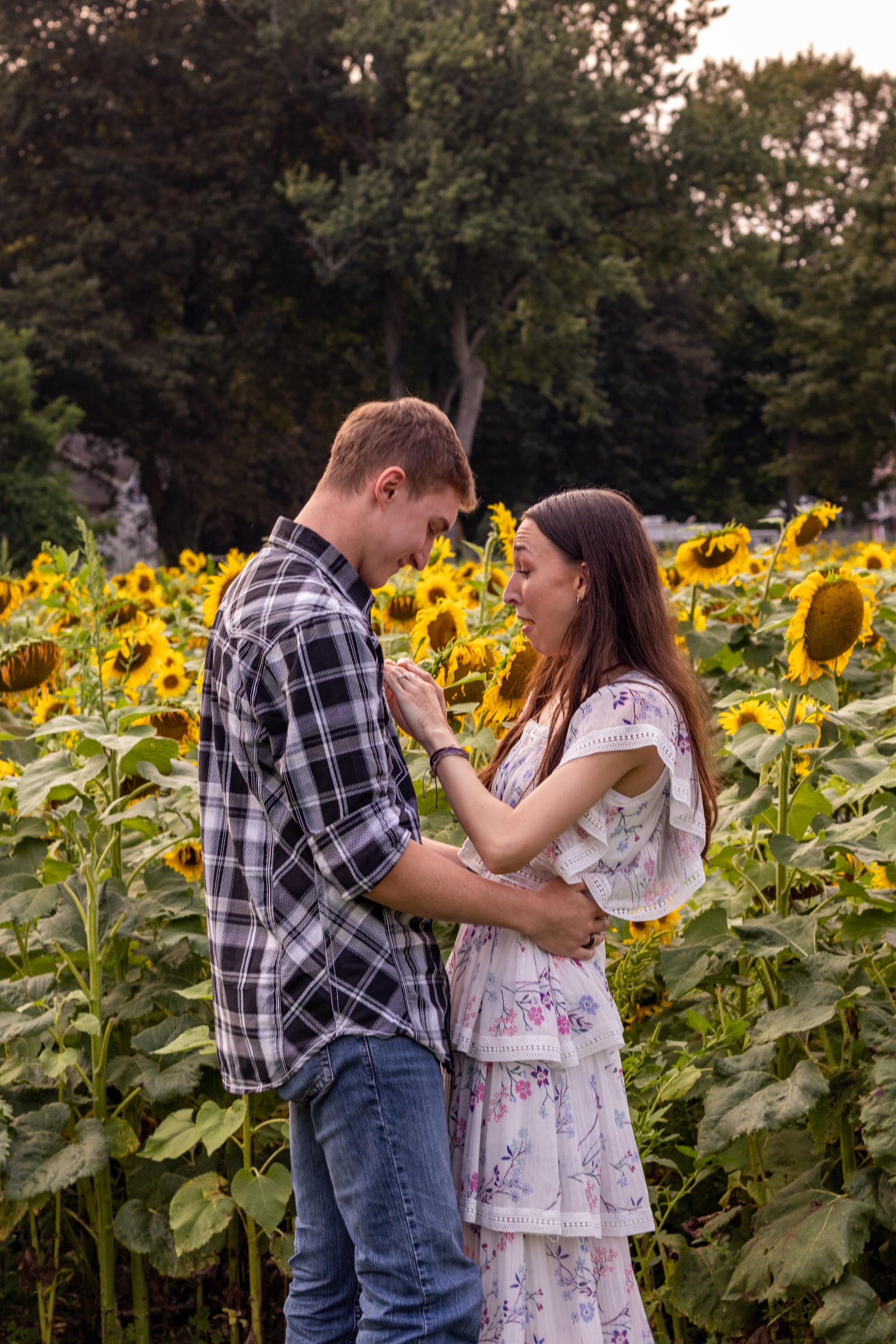 Fawn & Cody Proposal