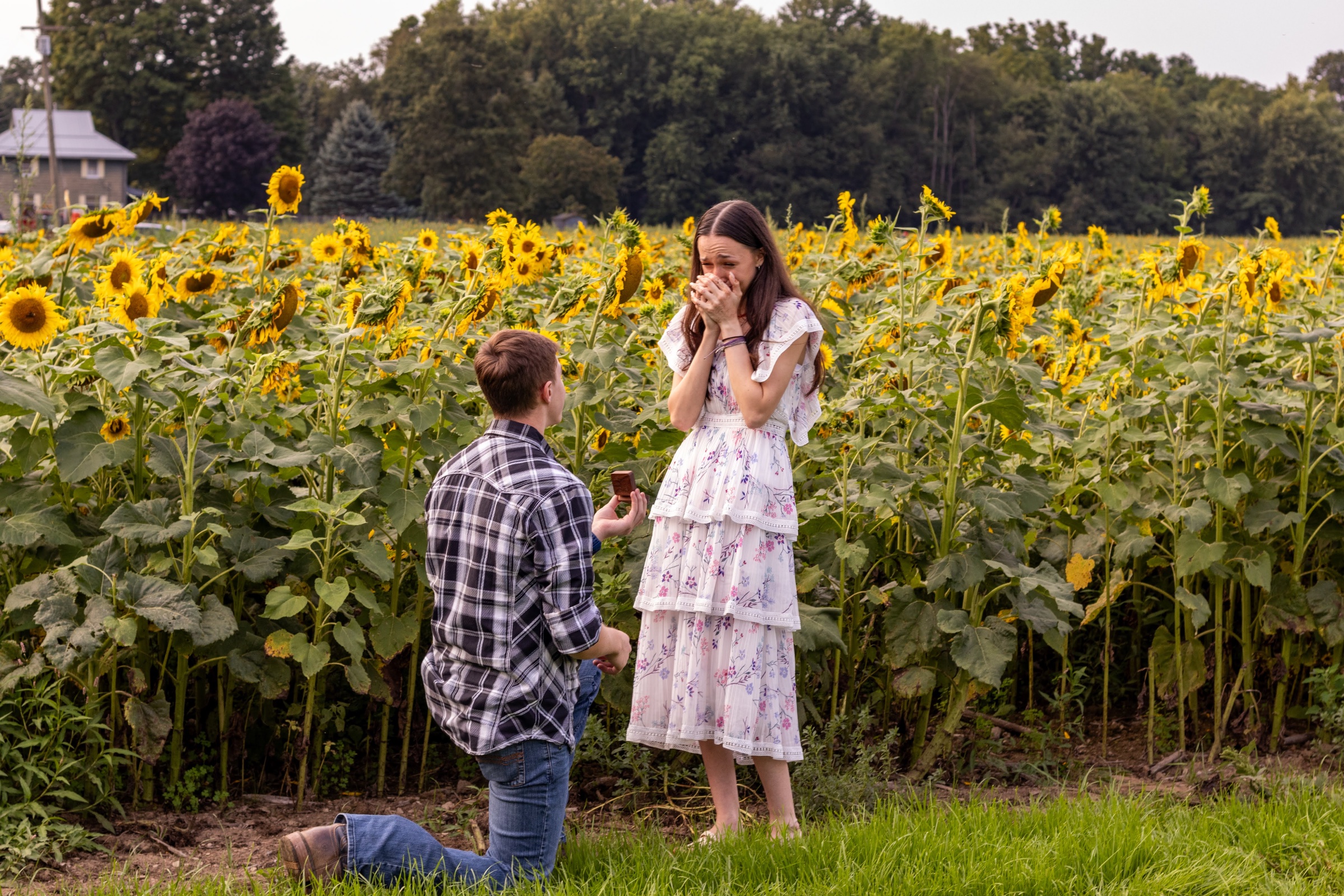 Fawn & Cody Proposal