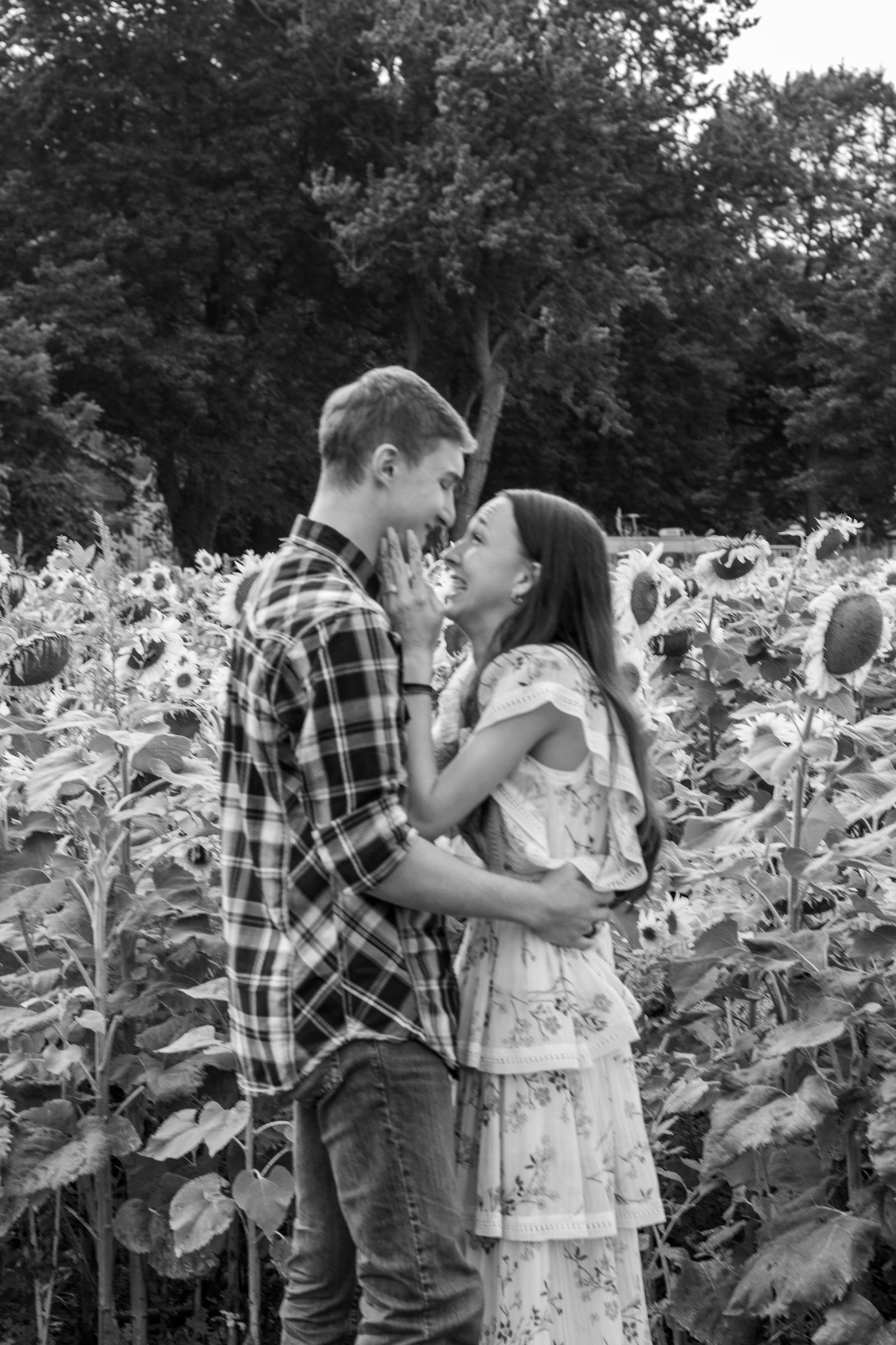 Fawn & Cody Proposal