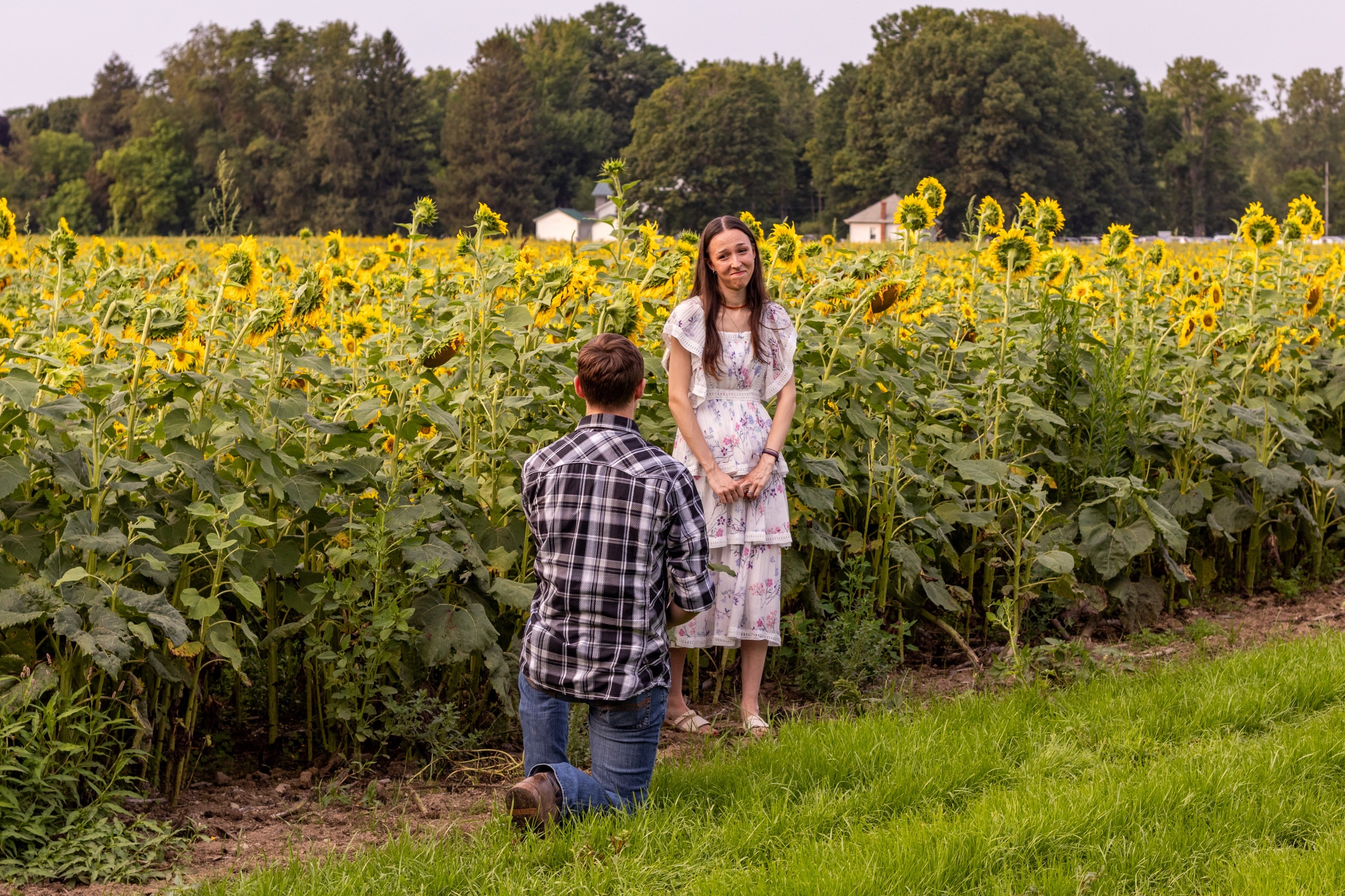 Fawn & Cody Proposal