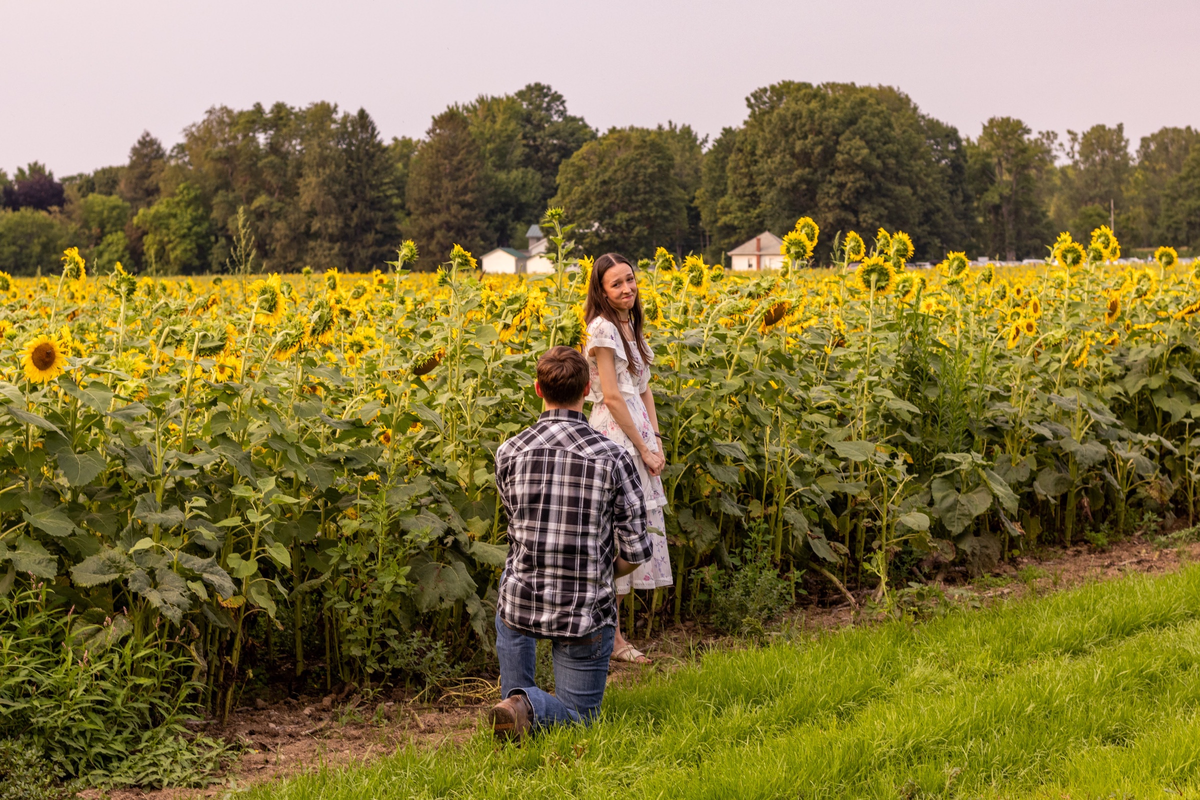 Fawn & Cody Proposal