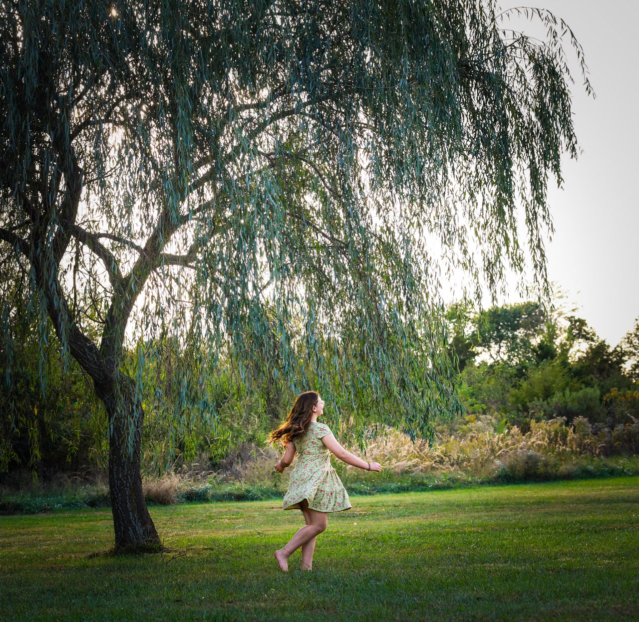 Solo Photographs